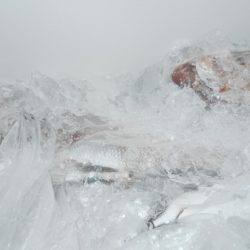 こうゆう丸 釣果