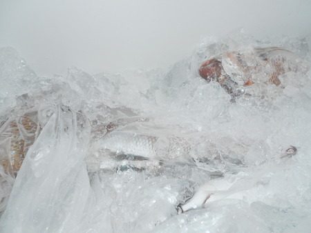 こうゆう丸 釣果