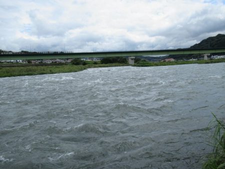 狩野川（狩野川漁業協同組合） 釣果