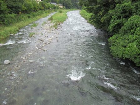 狩野川(狩野川漁業協同組合) 釣果