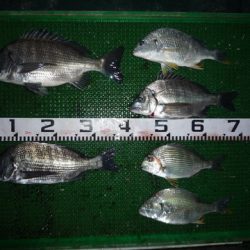 海山フィッシングセンター 釣果