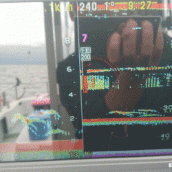 遊漁船ブルーウッズ 釣果