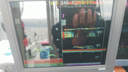 遊漁船ブルーウッズ 釣果