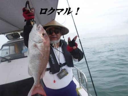 遊漁船 幸友丸 釣果