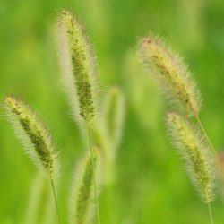 小菅トラウトガーデン 釣果