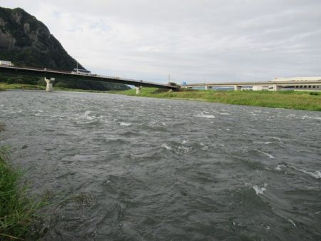 狩野川(狩野川漁業協同組合) 釣果