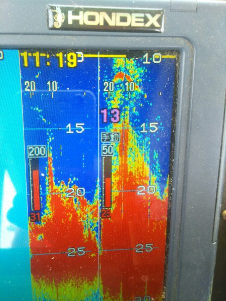 深川 吉野屋 釣果