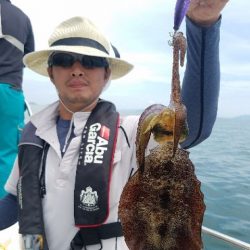 Magic(マジック) 釣果