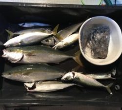 さぶろう丸 釣果