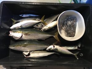 さぶろう丸 釣果