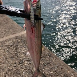 播磨ショアジギング1