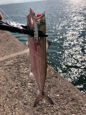 播磨ショアジギング1