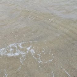 今日は渋かった！