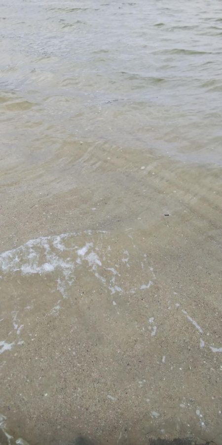 今日は渋かった！