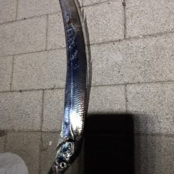 台風前に　あたりは夜中中