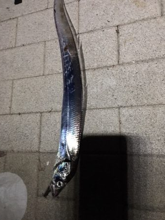 台風前に　あたりは夜中中