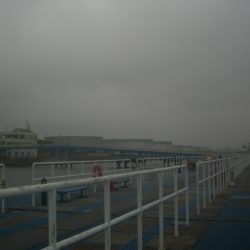 オリジナルメーカー海づり公園(市原市海づり施設) 釣果