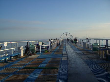 オリジナルメーカー海づり公園(市原市海づり施設) 釣果