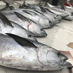 寿裕 （YOSHIHIRO） 釣果