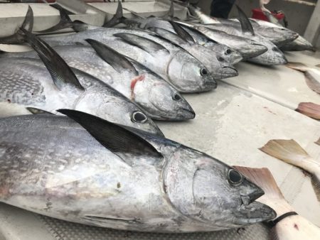 寿裕 （YOSHIHIRO） 釣果