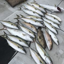 寿裕 （YOSHIHIRO） 釣果