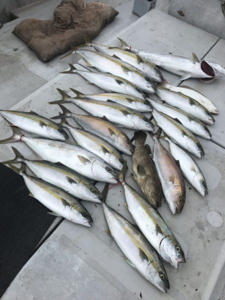 寿裕 （YOSHIHIRO） 釣果