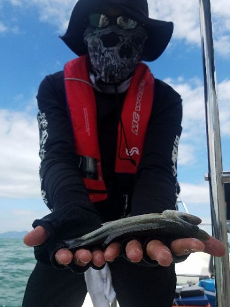 Magic（マジック） 釣果