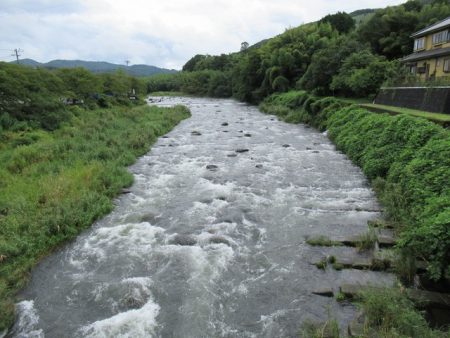 狩野川(狩野川漁業協同組合) 釣果