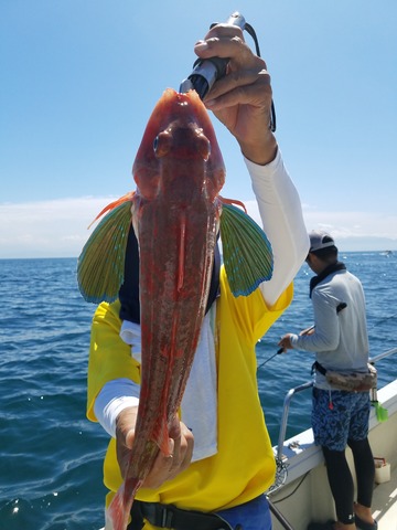 遊漁船　ニライカナイ 釣果