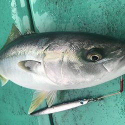 広進丸 釣果