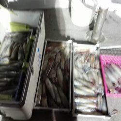 第二大福丸 釣果