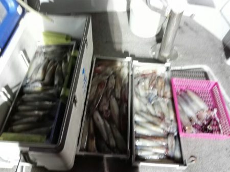 第二大福丸 釣果