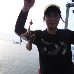 遊漁船 幸友丸 釣果