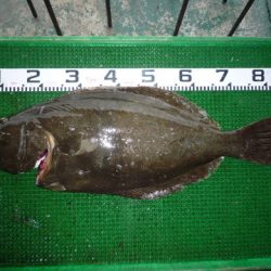 海山フィッシングセンター 釣果