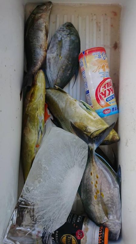 伊豆下田フィッシング 釣果