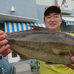 伊豆下田フィッシング 釣果