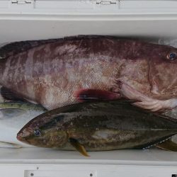 伊豆下田フィッシング 釣果