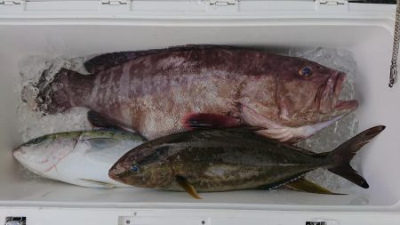 伊豆下田フィッシング 釣果