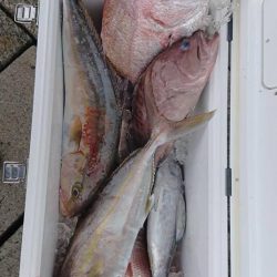 伊豆下田フィッシング 釣果