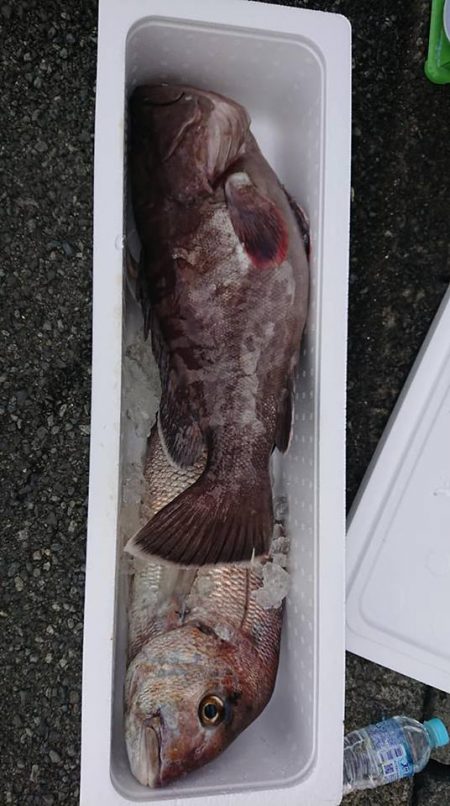 伊豆下田フィッシング 釣果