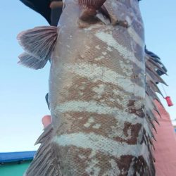 伊豆下田フィッシング 釣果