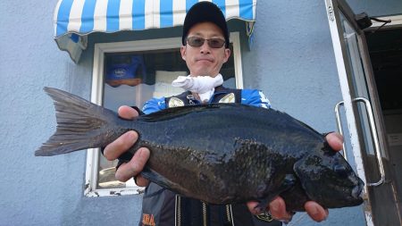 伊豆下田フィッシング 釣果