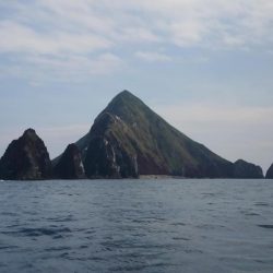 伊豆下田フィッシング 釣果