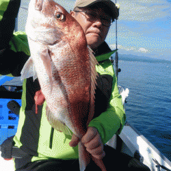 遊漁船ブルーウッズ 釣果