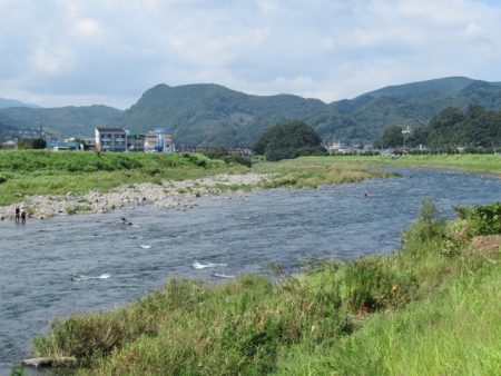 狩野川(狩野川漁業協同組合) 釣果