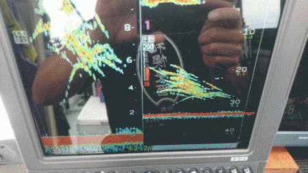 遊漁船ブルーウッズ 釣果