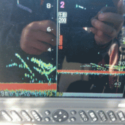 遊漁船ブルーウッズ 釣果