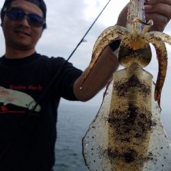 Magic（マジック） 釣果