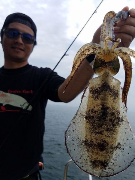 Magic（マジック） 釣果