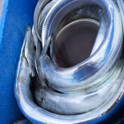 台風前に　あたりは夜中中